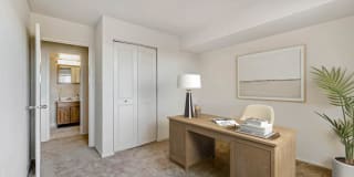 Cavalier Club Gallery 9