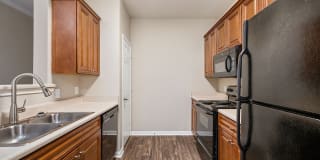 Houston Lake Gallery 21