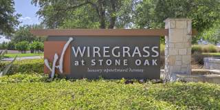 Wiregrass at Stone Oak Gallery 1