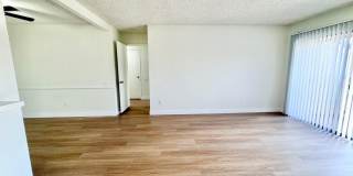Buena Vista Apartments Gallery 5