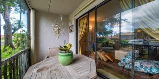 9900 Pineapple Tree Drive Gallery 19