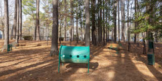 Bridges at Chapel Hill Gallery 35