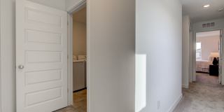 Honor Meadows Gallery 38