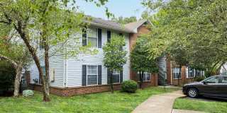 Springwood Park Gallery 20