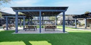 Tierra Palms Gallery 62