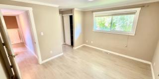 Spacious 4BD/3BA Bellevue Home with Private Backyard & Garage Gallery 17