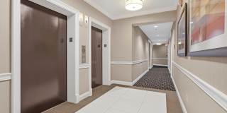 1625 INTERNATIONAL DR #321 Gallery 24