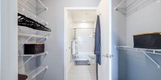 EDE Gallery 51