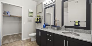 Olympus Steelyard Gallery 7