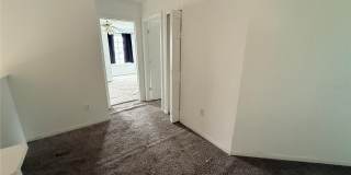 2918 BLOOMING ALAMANDA Loop Gallery 15