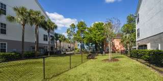 The Villas at Westchase Gallery 31