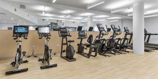 The Kavista Gallery 25