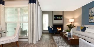 The Everly Gallery 8