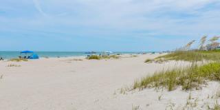 555 Harrison Avenue Gallery 43