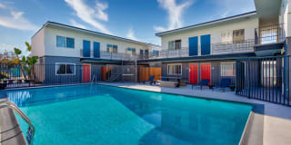 Santa Monica Palms Gallery 15