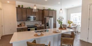 Cadence Creek at Towne Lake - 55+ Apartment Homes Gallery 4