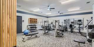 The Orion The Orion Gallery 13