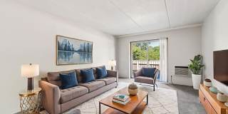 Cherry Court Gallery 2