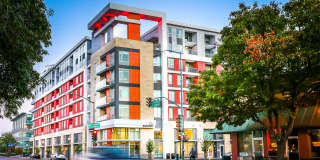 201 Marshall Apartments Gallery 8