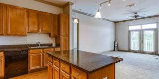 The Village at Lake Lily Gallery 80