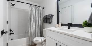 Avana Lexington Gallery 42