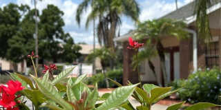 21027 VOYAGER Boulevard Gallery 19