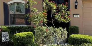 352 LAUREL FALLS DRIVE Gallery 2