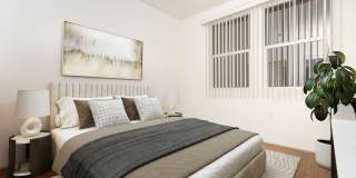 Vineyards Gallery 178