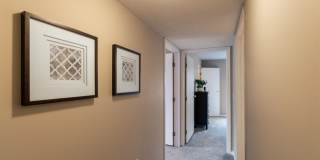 Washington Place Gallery 30