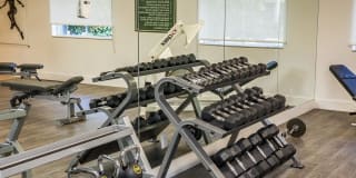 Citation Club Gallery 13