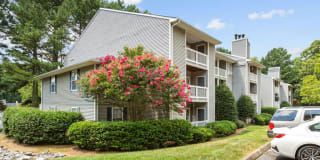Walker's Ridge Gallery 58
