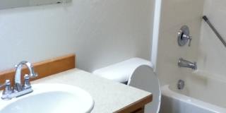 4 Bedroom 2 Bathroom House - Close to MSU Campus Gallery 20