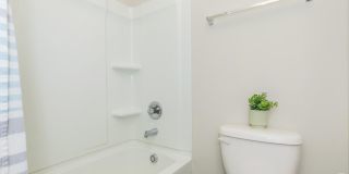 Windsor at Manhattan Gallery 21