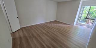 Beautifully Renovated Ground-Floor 2 Bedroom – Over 900 Sq. Ft.! Gallery 14