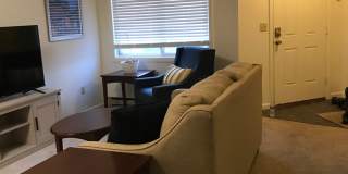 4-Bedroom Student Townhomes in the Heart of Burlington Gallery 37