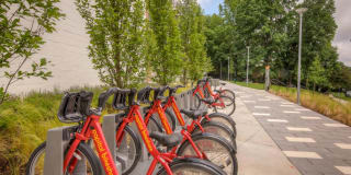 AVA Wheaton Gallery 36