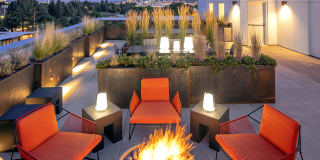 Northpointe Gallery 12