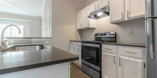 Champions of North Dallas Gallery 13