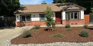 Completely Remodeled 3 bed/2 bath Home - 1402 Clara Gallery 1