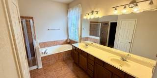 234 Gazelle Leap Gallery 20