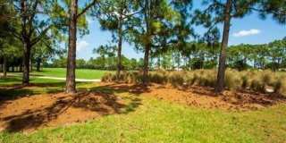 8204 Kiawah Trace Gallery 27