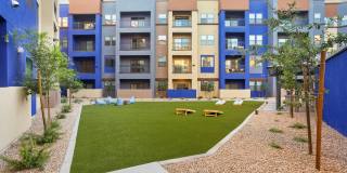 Alta Goodyear Gallery 30