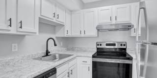 Linden at North Shores Gallery 1