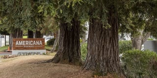 Americana Apartments Gallery 1