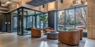 Chroma Slu Gallery 19