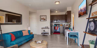 Element 170 Gallery 17