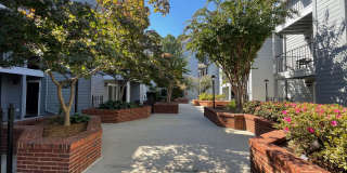 Condo in the Heart of Sandy Springs Condo in the Heart of Sandy Springs Gallery 3