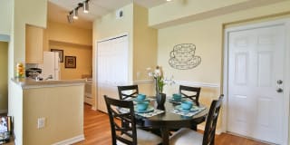 Springs at Palma Sola Gallery 5