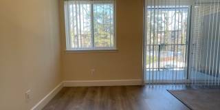 Northgate Gallery 150