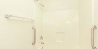 Willow Glen Gallery 55
